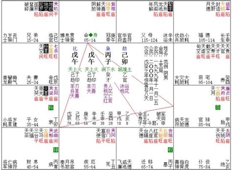 紫微斗數 12宮|十二宮